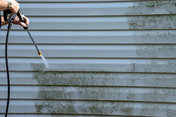 Trusted Cedar Springs, MI Siding Installation & Repair Experts