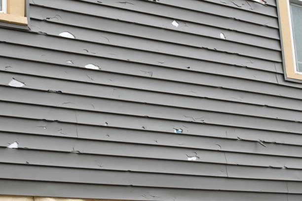 Best Siding for New Construction  in Cedar Springs, MI