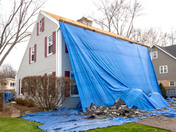 Best Historical Building Siding Restoration  in Cedar Springs, MI