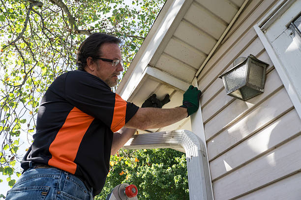 Best Residential Vinyl Siding Installation  in Cedar Springs, MI